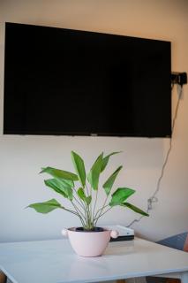 City Center Charm Studio Apt w Pool - Santiago - 2