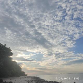 Luz de Maria Ilha de cotijuba - 5