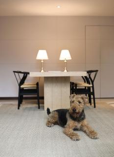 Comfort and Style in Zona G Pet Friendly - Bogotá - 2