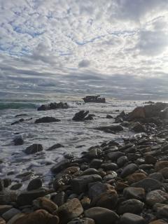 Fynbos Dunes - Suiderstrand - 6