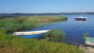 Dom na Łabędziej - 1