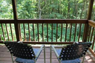 Cardinal's Crest - 1