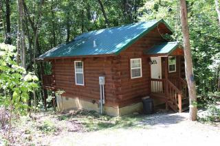 Jack Pine Hollow - Logan - 0