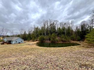 Cozy 3 BR Cabin with Pond on 3 acres - New River Gorge - Summersville Lake - 8