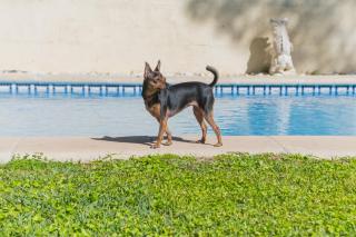 Cadizz - Villa Verde La Barrosa - Chiclana de la Frontera - 4