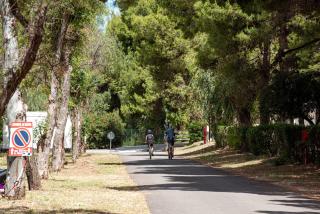 Villaggio Camping Spiaggia Lunga - Vieste - 7