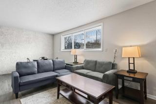 Beautiful and Cozy Apartment in Springfield- 2 Bedroom - Springfield - 7