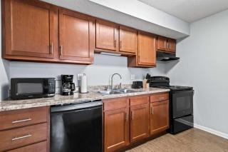 Beautiful and Cozy Apartment in Springfield- 2 Bedroom - Springfield - 5