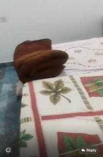 Luxury Apartment - Prayagraj - 4
