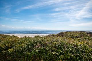 Sandy Shore - Caswell Beach - 8