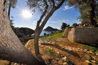 Dolphin Apartments - 0