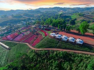 Khaokho flower camp - Khao Kho - 6
