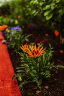 Dawn Break Guest House - 3