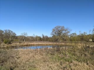 Old Oak Ranch - 7