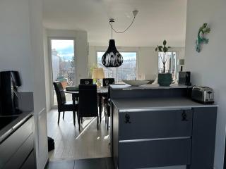 Spacious apartment - gates of paris - Saint-Cloud - 3