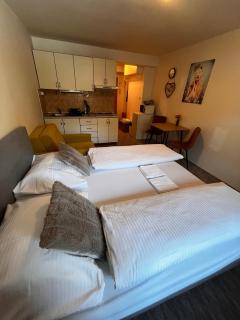 Apartmán pod Magurou Donovaly - Donovaly - 7