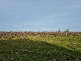 Villa au cœur des vignes - Monbazillac - 8