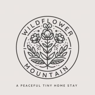 Little Dahlia a tranquil tiny home nestled in Stone Mountain near Boone , NC - Vilas - 5