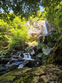 Maison La vie de l'Aubrac - Gîte Lo Bel Peis - 7