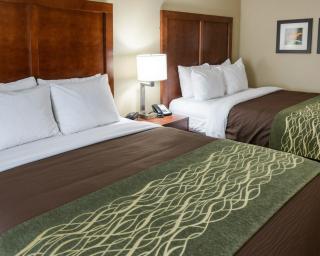 Comfort Inn & Suites West - Medical Center - Rochester - 9