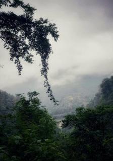 Dreamland Homestay - Lava - 1