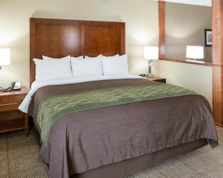 Comfort Inn & Suites West - Medical Center - Rochester - 7