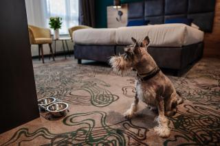 Hotel Kyriad Stargard - Stargard - 2