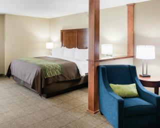 Comfort Inn & Suites West - Medical Center - Rochester - 4