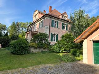 Vila Anna - Želízy - 9