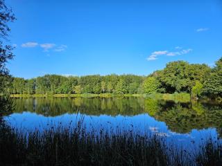 Cœur de Sologne - - 0