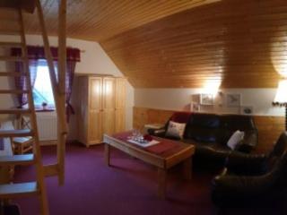 Penzion u Dvou studní - 1