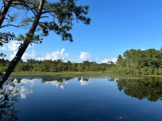 Private Lakefront Fishing Cabin - - 0