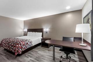 Red Roof Inn Phoenix North - I-17 at Bell Rd - Phoenix - 4