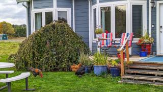 Sq Sequim Sunrise Apartment - Sequim - 3