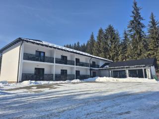Casa de Vacanta Magherus - Topliţa - 8