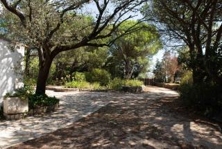 Moinho do Avo To - 9