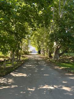 Broadlands Country House - Kirkwood - 7