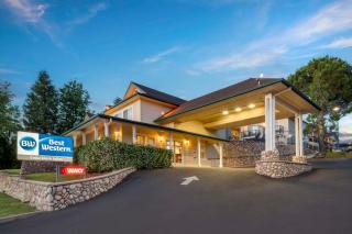 Best Western Cedar Inn & Suites - Angels Camp - 1