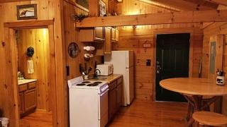 Bearadise On Tellico River - Tellico Plains - 2
