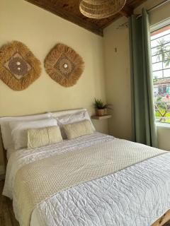 21 Palms - Las Galeras - 4