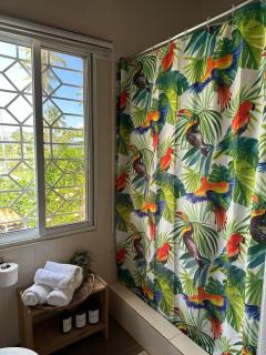 21 Palms - Las Galeras - 7