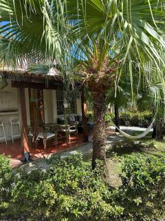 21 Palms - Las Galeras - 8