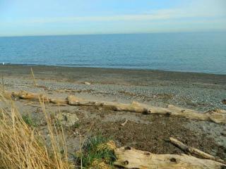 SQ Waters-Edge - 2