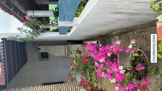 Nosso Litoral: sua casa na praia - Luis Correia - 3