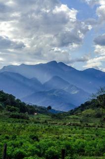 Fazenda do Frances e Culinaria Francesa - 0
