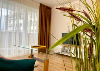 Carpatilor Urban Escape Studio with Free Parking and AC - Brasov - 0