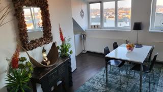 Luxury Apt - View of the Center of Prague - Prague - 7