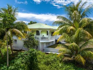 Ferapalms Tropical Escape with Ocean & Mountain View - La Plaine - 0