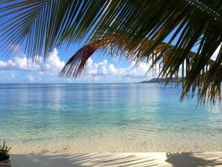 Nouveau La Caribéenne sur la plage Villa 2 bedrooms 2 baths piscine tennis plage - Baie Nettle - 8