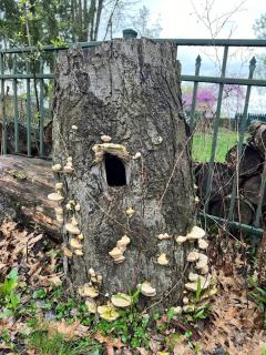 James Romans Enigma House - Berea - 3